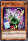 Edison Rulings for Puppet Plant